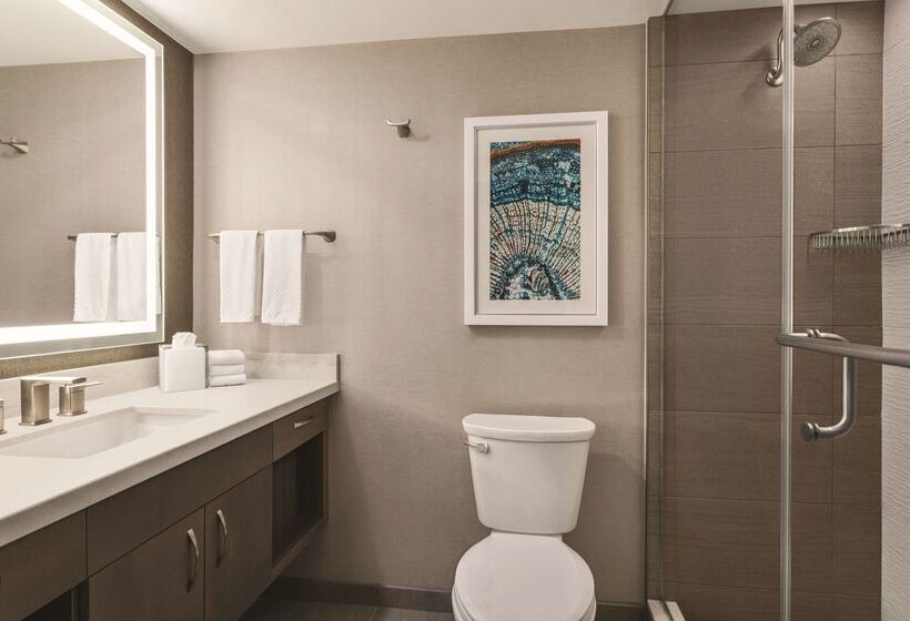 Отель Hilton Dfw Lakes Executive Conference Center