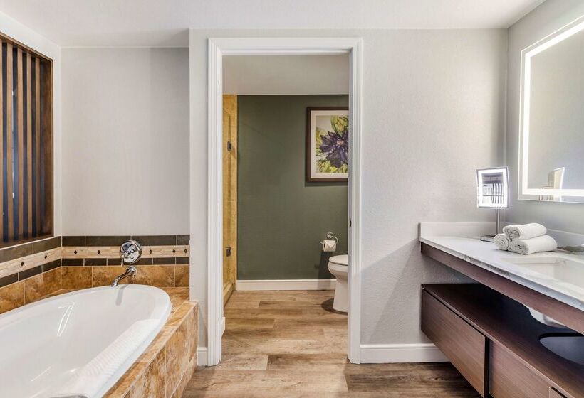 בית מלון כפרי Hilton Grand Vacations Club Flamingo Las Vegas