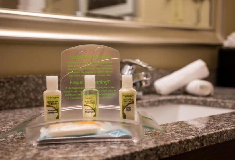 Holiday Inn Hotel & Suites Oklahoma City North, An Ihg