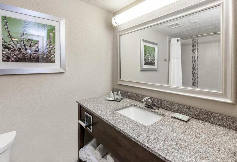 Holiday Inn Hotel & Suites Oklahoma City North, An Ihg