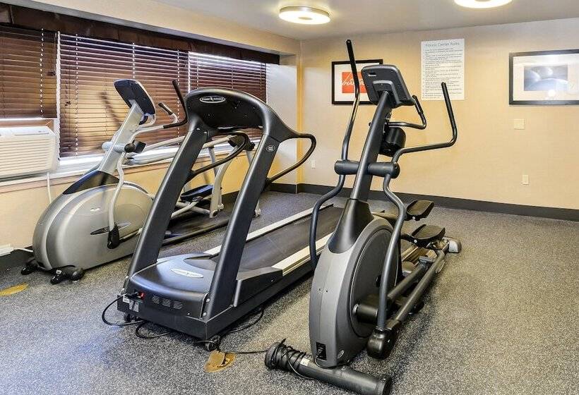 호텔 Holiday Inn Express Washington Dc Silver Spring, An Ihg