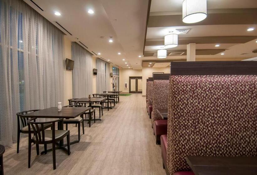 فندق Holiday Inn   New Orleans Airport North, An Ihg