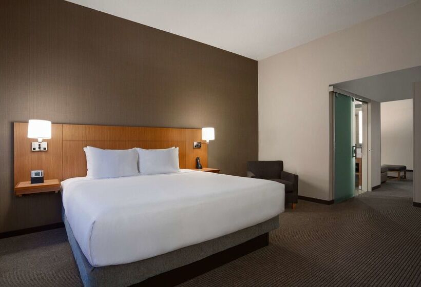 酒店 Hyatt Place Minneapolis/downtown