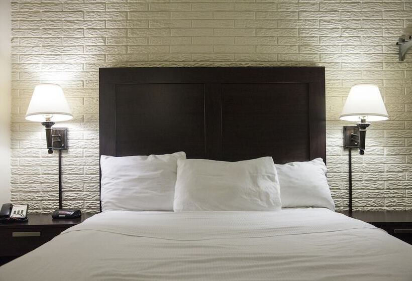 호텔 Inns Of Virginia Arlington