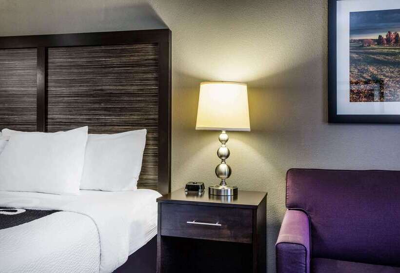 فندق La Quinta By Wyndham Lynchburg At Liberty Univ