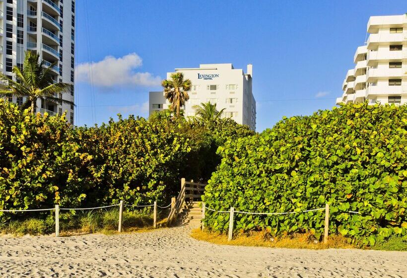 Lexington By Hotel Rl Miami Beach