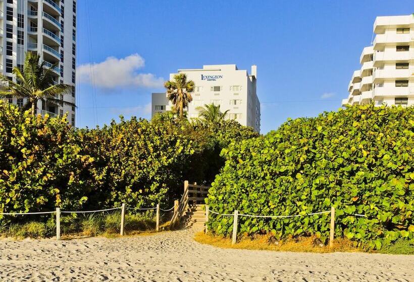 Lexington By Hotel Rl Miami Beach