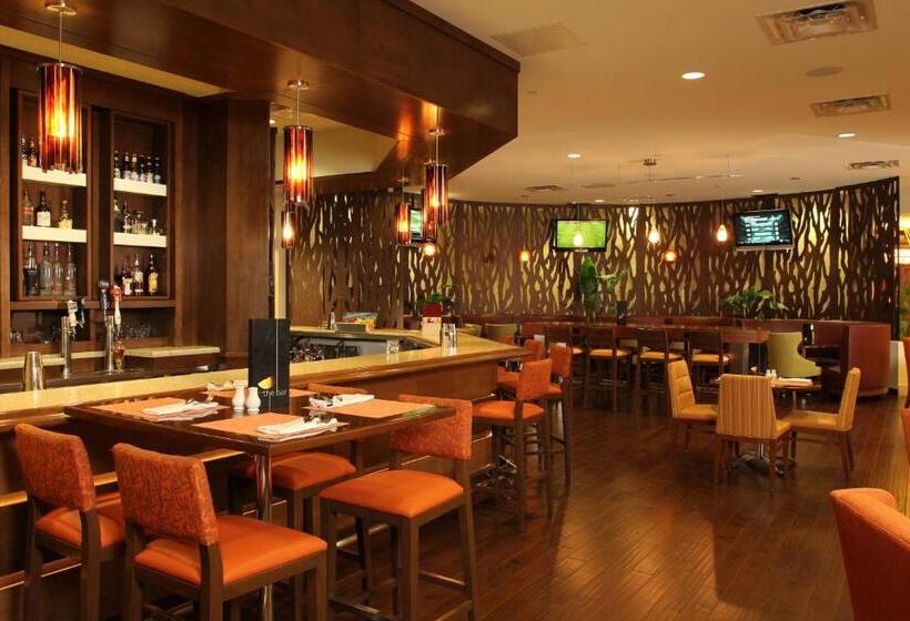 호텔 Marriott El Paso