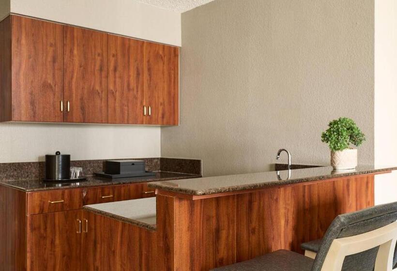 호텔 Marriott El Paso