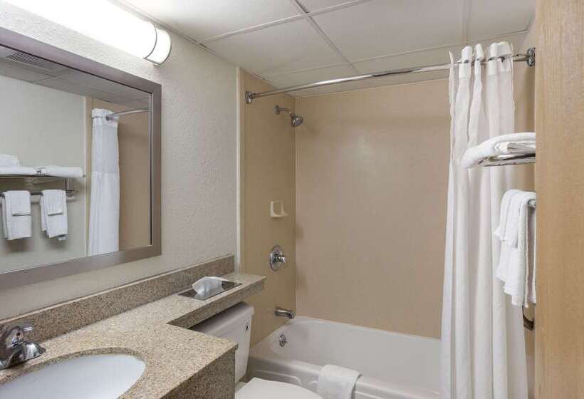 Отель Quality Inn Central