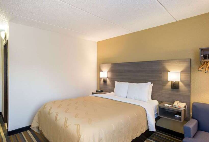 Отель Quality Inn Central