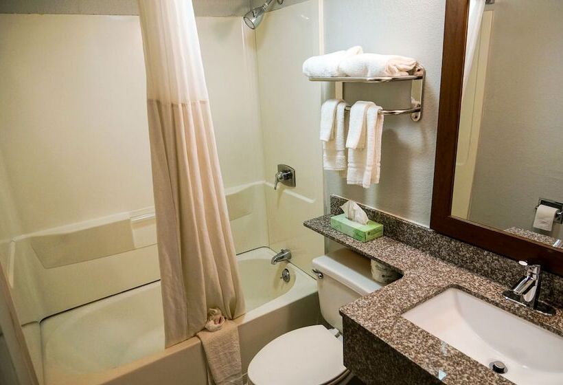 ホテル Quality Inn  Denton