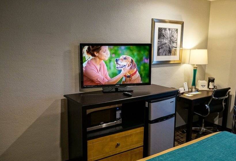 ホテル Quality Inn  Denton