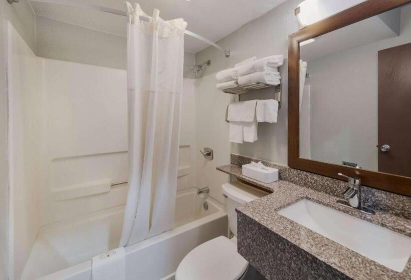 ホテル Quality Inn  Denton