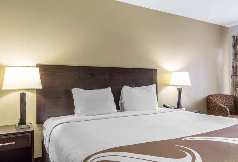 هتل Quality Inn Downtown Historic District