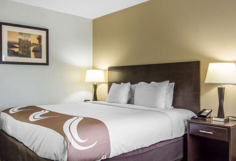 ホテル Quality Inn Downtown Historic District