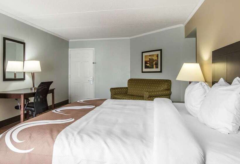 ホテル Quality Inn Downtown Historic District