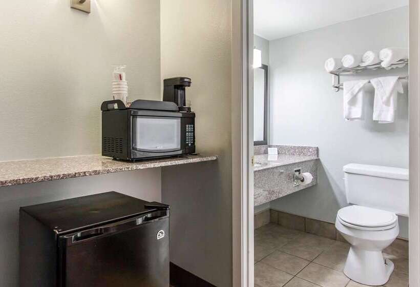 ホテル Quality Inn Downtown Historic District