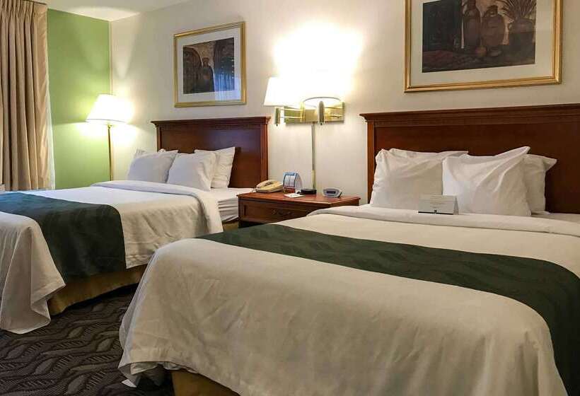 Отель Quality Inn