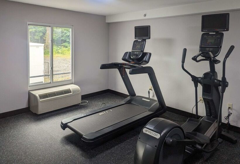 ホテル Quality Inn & Suites Northampton Amherst