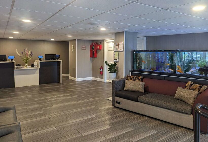 ホテル Quality Inn & Suites Northampton Amherst