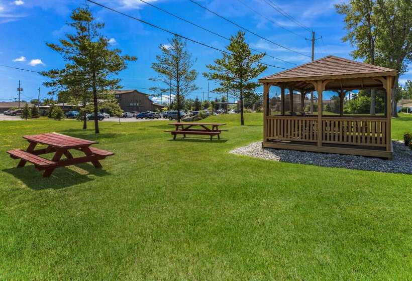 فندق Quality Inn & Suites