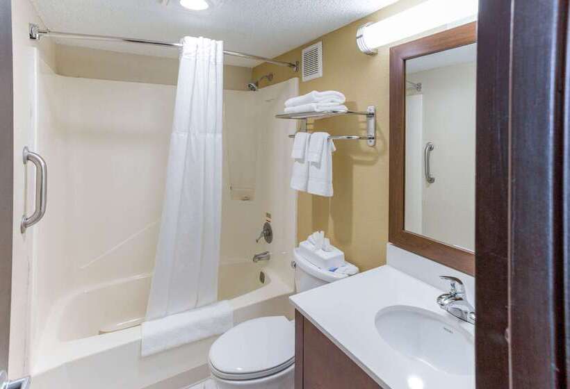 فندق Quality Inn & Suites