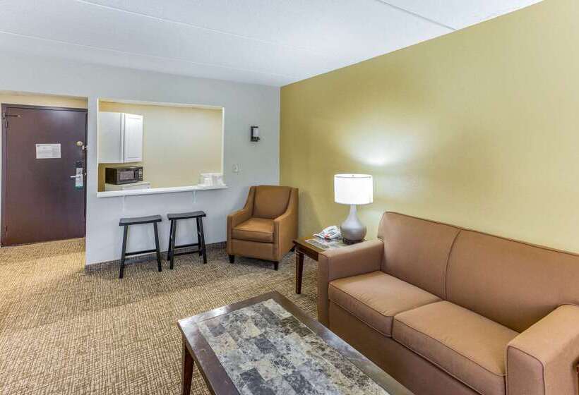 فندق Quality Inn & Suites