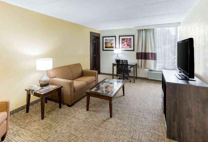 فندق Quality Inn & Suites