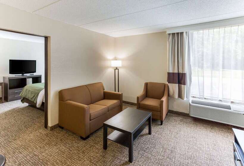 فندق Quality Inn & Suites