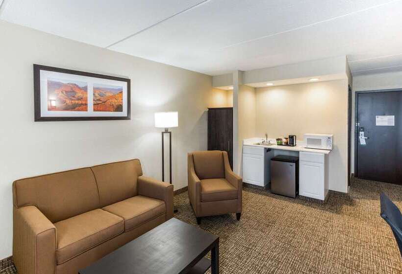 فندق Quality Inn & Suites