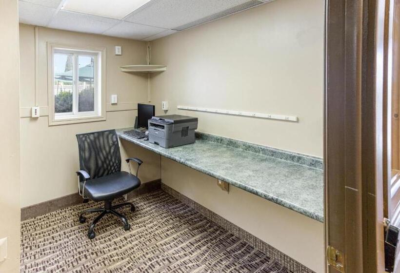 فندق Quality Inn & Suites