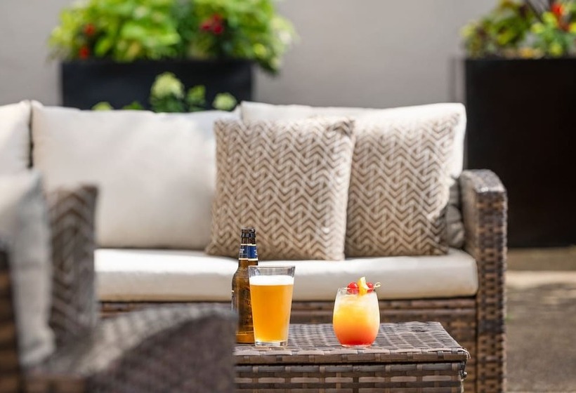 Отель Sheraton Suites Chicago O'hare