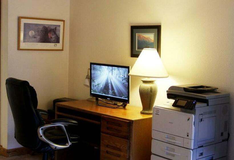 فندق The Driftwood Lodge