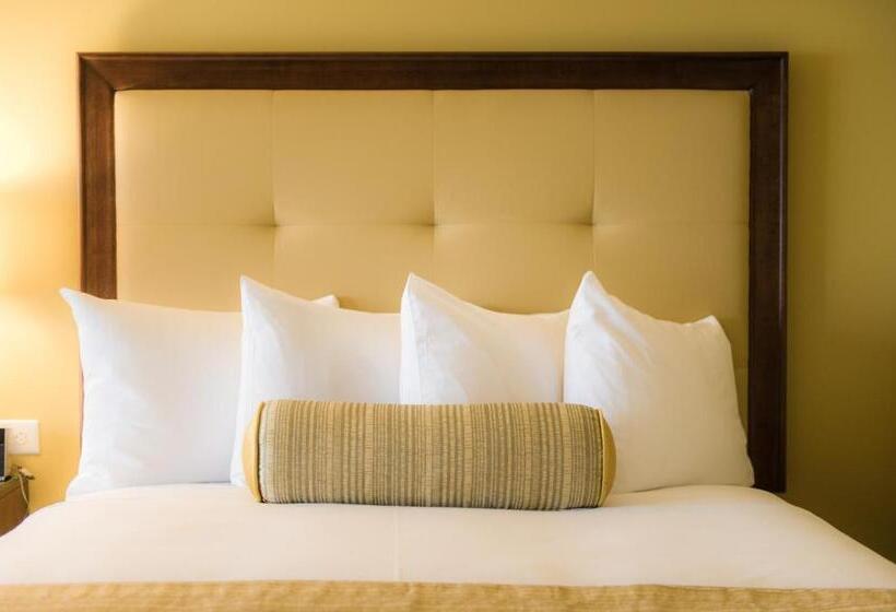 酒店 The Edgewater