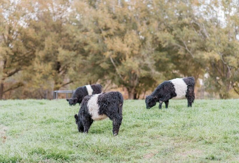 호텔 The Fearrington House Inn