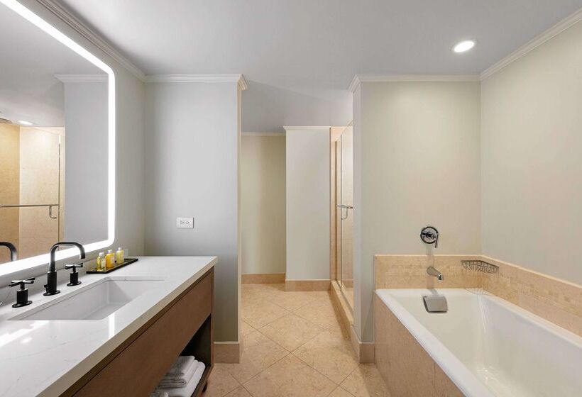 ホテル The Royal Sonesta Chicago Downtown