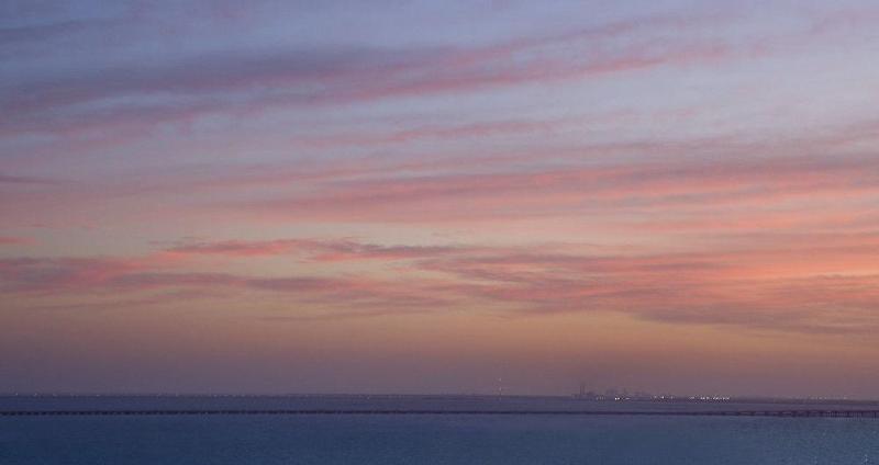 ホテル The Westin Tampa Bay