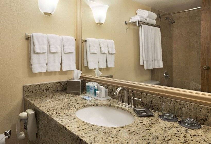 호텔 Wyndham El Paso Airport And Water Park