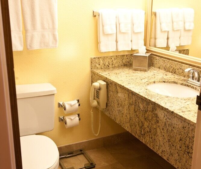 호텔 Wyndham El Paso Airport And Water Park