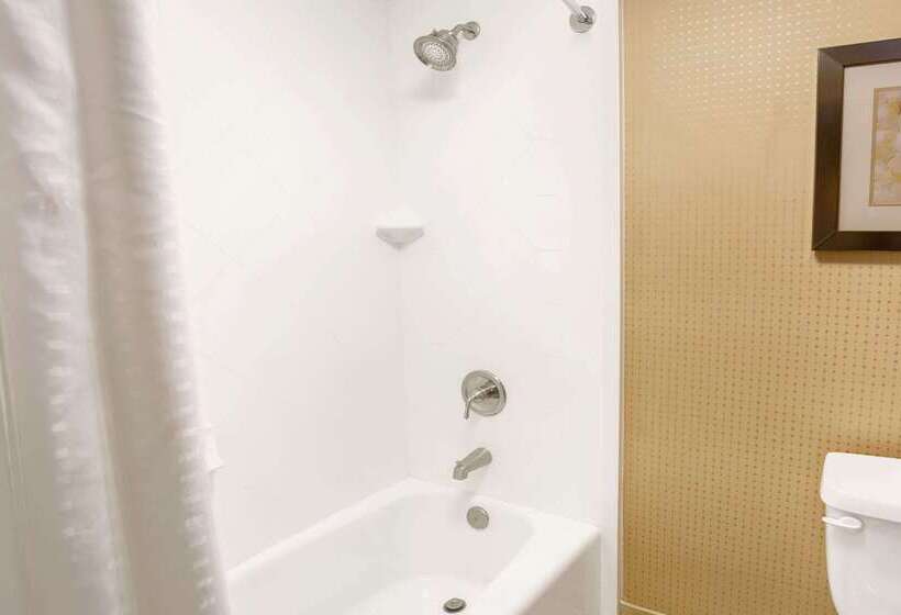 فندق Wyndham Garden Duluth