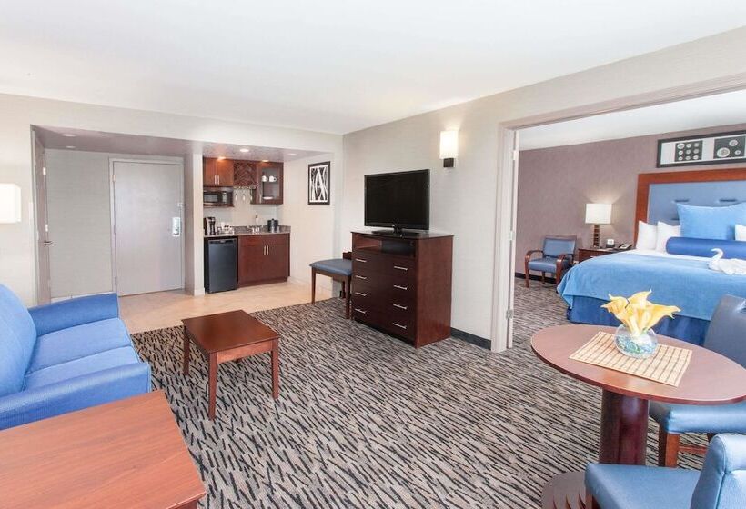 هتل Wyndham Garden Elk Grove Village  O Hare