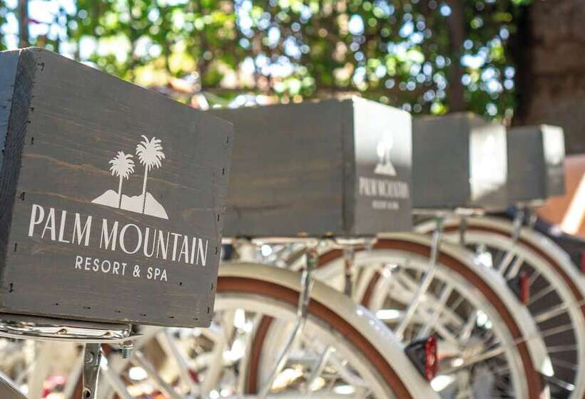 Palm Mountain Resort & Spa