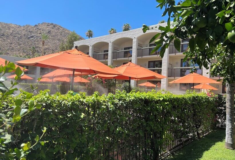 Palm Mountain Resort & Spa