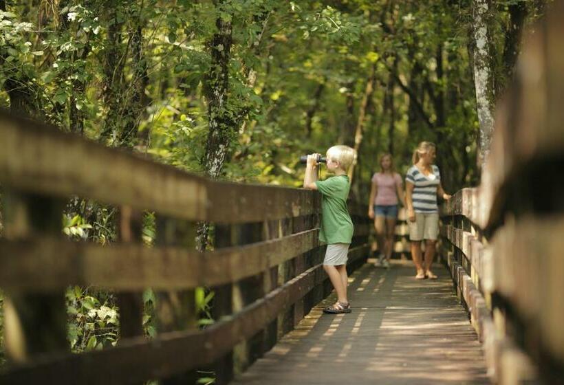 Pierview Hotel & Suites