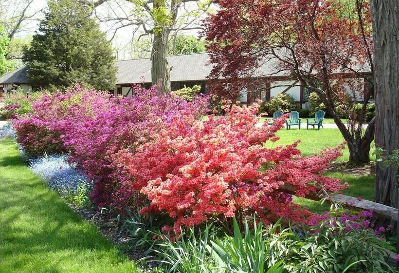 The Earl Of Sandwich Motel