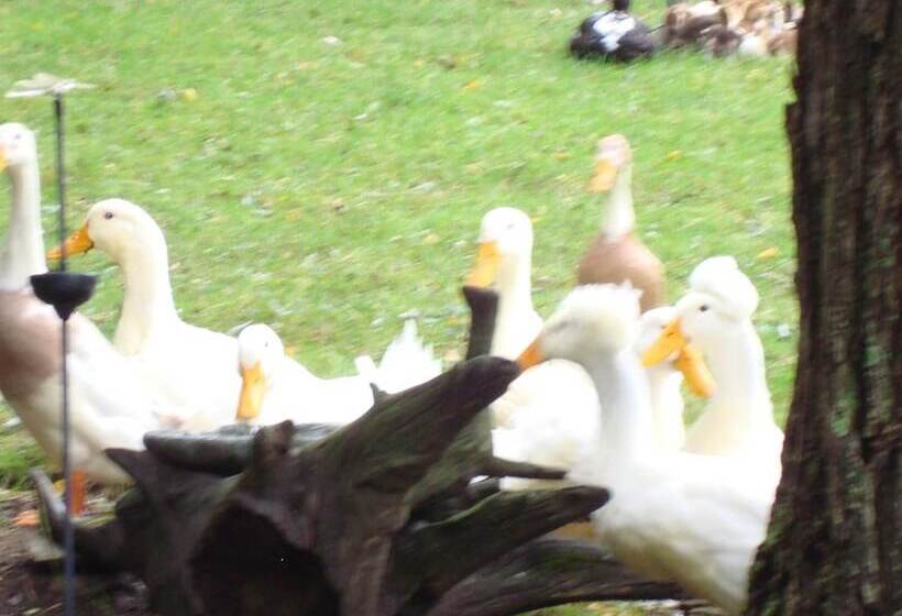 The Earl Of Sandwich Motel