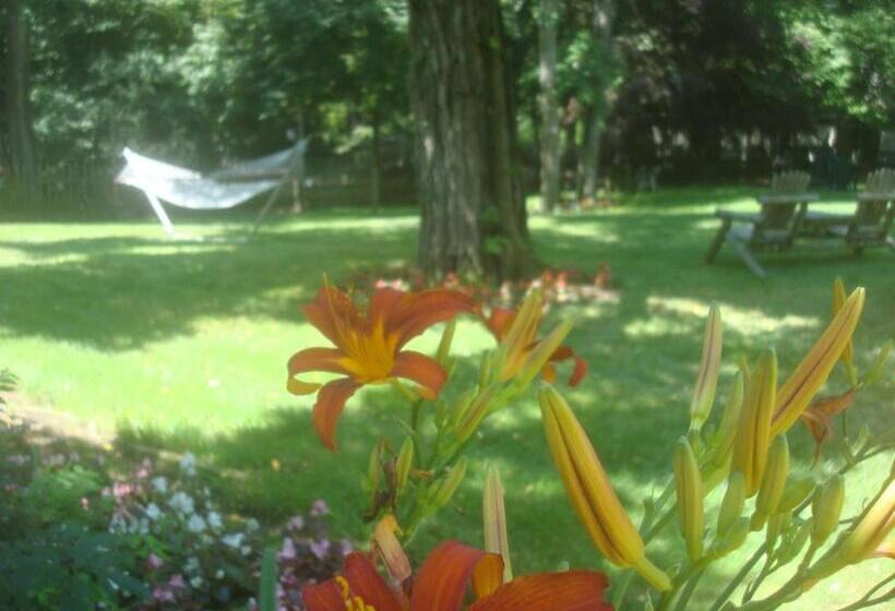 The Earl Of Sandwich Motel