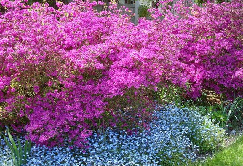 The Earl Of Sandwich Motel