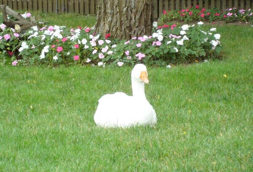 The Earl Of Sandwich Motel